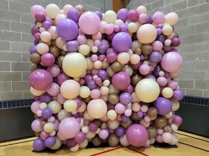 Wall Balloon Backdrop